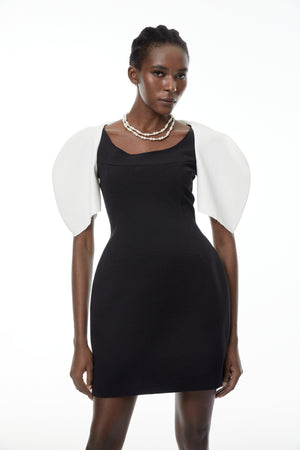Aurohaya Catalina Black Color Blocked Mini Dress