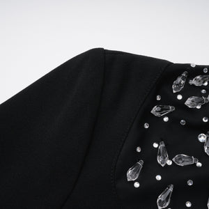 Aurohaya Oona Black Embellished Flared Maxi Gown