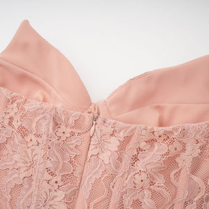 Aurohaya Ulrique Pink Lace Corset Tulle Maxi Dress