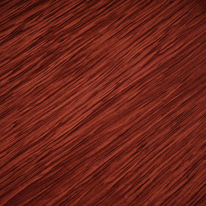 Aurohaya Mélisande Rusty Red Halterneck Fringed Maxi Gown