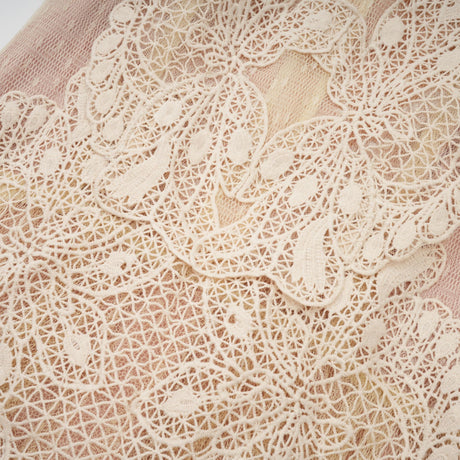 Aurohaya Céleste floral-lace-panelling tulle midi dress in Neutrals