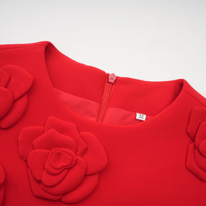 Aurohaya Calista red floral-detail short-sleeve mini dress