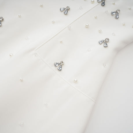 Aurohaya Melisande White Embellished Dress & Skirt Set