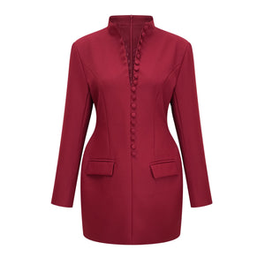Aurohaya Valeria Burgundy Stand Collar Long Sleeve Mini Dress