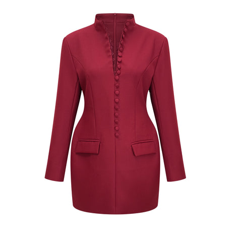 Aurohaya Valeria Burgundy Stand Collar Long Sleeve Mini Dress
