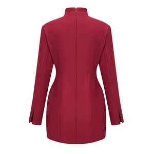 Aurohaya Valeria Burgundy Stand Collar Long Sleeve Mini Dress