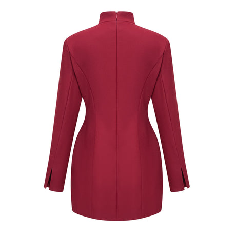 Aurohaya Valeria Burgundy Stand Collar Long Sleeve Mini Dress