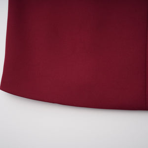 Aurohaya Valeria Burgundy Stand Collar Long Sleeve Mini Dress