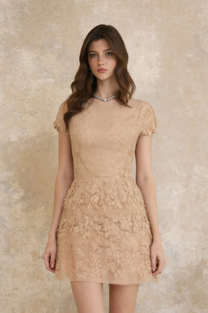 Aurohaya Déotille Neutral Floral Embroidered Tulle Mini Dress