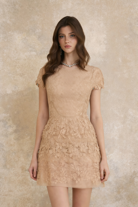 Aurohaya Déotille Neutral Floral Embroidered Tulle Mini Dress