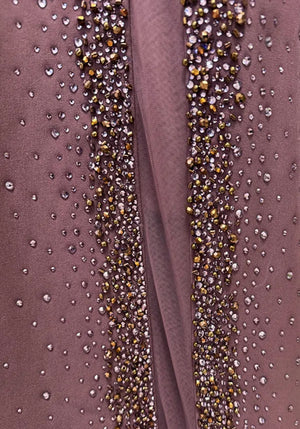 Embellished Mesh Insert Maxi Dress Brown