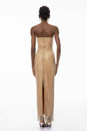 Aurohaya Gabriela Gold Crystal Embellished Maxi Dress