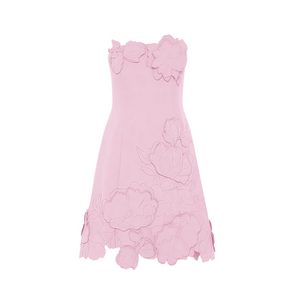 Aurohaya Inga Pink Strapless Floral Embroidered Mini Dress