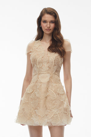 Aurohaya Kore Champagne 3D-Floral Embroidered Tulle Mini Dress