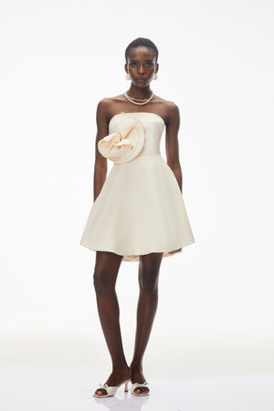 Aurohaya Sienna Ivory Mini Dress with 3D Floral