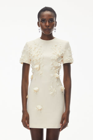 Aurohaya Skye Ivory Round Neck Mini Dress with Floral Applique