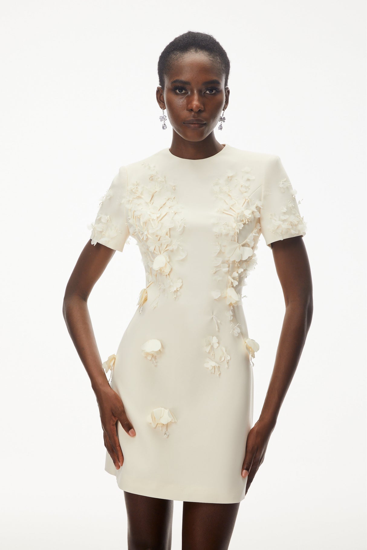 Aurohaya Skye Ivory Round Neck Mini Dress with Floral Applique