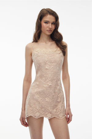 Aurohaya Ucalegon Pink Floral Lace Sheer Mini Dress