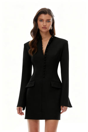 Aurohaya Valeria Black Stand Collar Long Sleeves Mini Dress