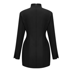 Aurohaya Valeria Black Stand Collar Long Sleeves Mini Dress