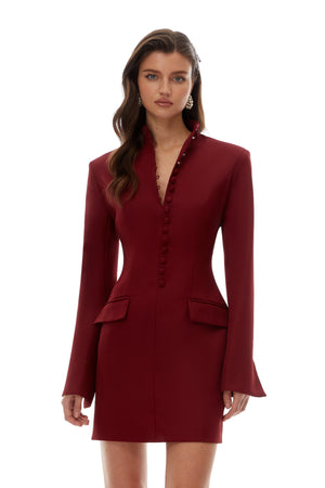 Aurohaya Valeria Burgundy Stand Collar Long Sleeve Mini Dress