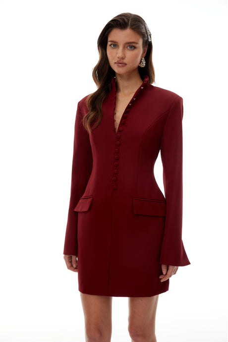 Aurohaya Valeria Burgundy Stand Collar Long Sleeve Mini Dress