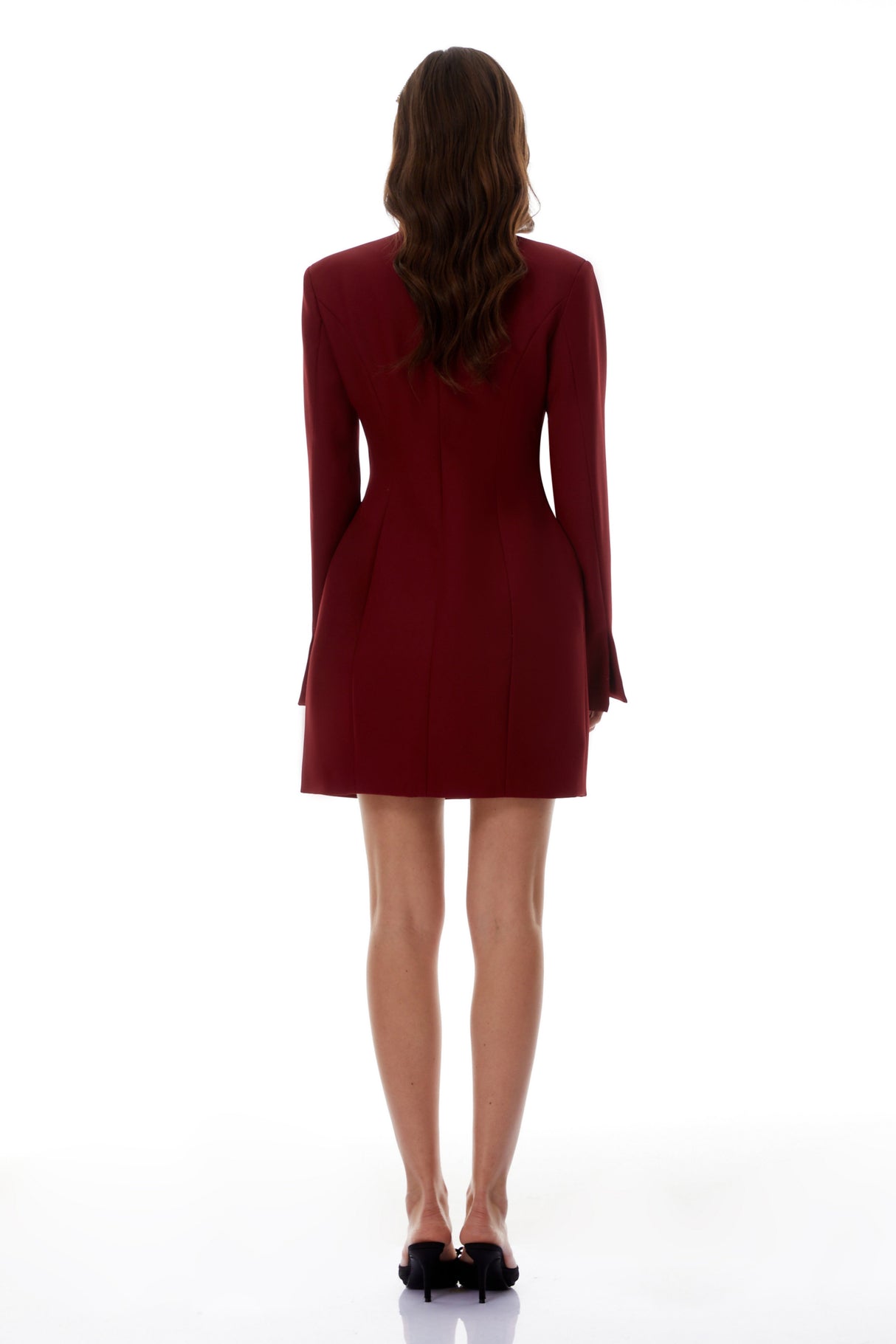 Aurohaya Valeria Burgundy Stand Collar Long Sleeve Mini Dress