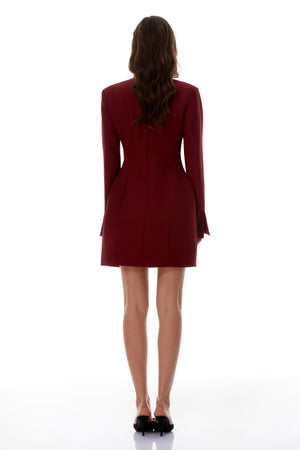 Aurohaya Valeria Burgundy Stand Collar Long Sleeve Mini Dress