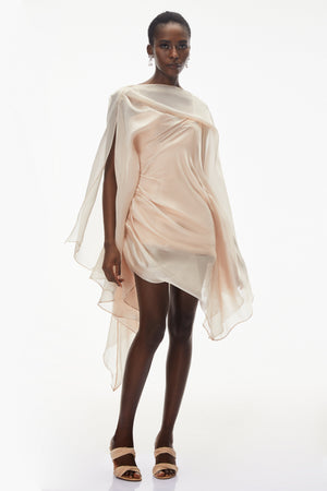 Aurohaya Willow Pink Asymmetrical Ruched Mesh Mini Dress