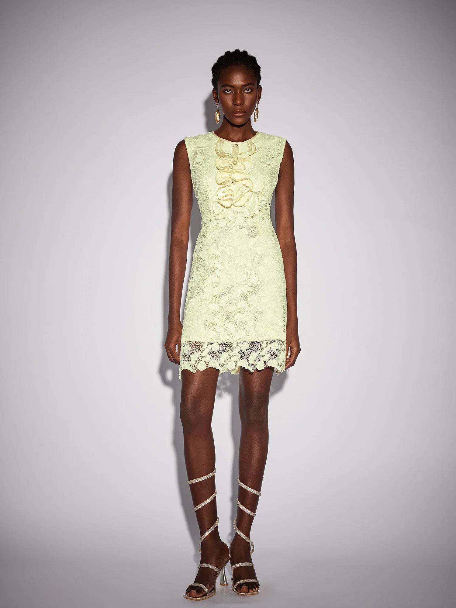 Aurohaya Liliane Sleeveless Lace Mini Dress